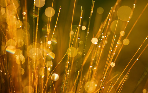 715705 (a): :2560x1600